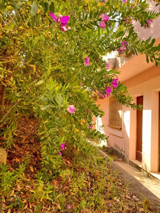 Natura Incontaminata E Relax Portu Maga Εξωτερικό φωτογραφία